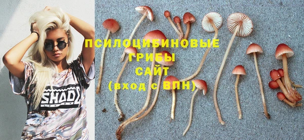 сатива Абинск