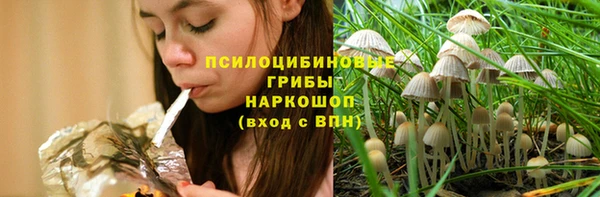 сатива Абинск