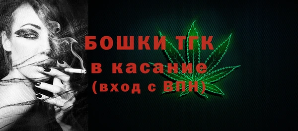 сатива Абинск